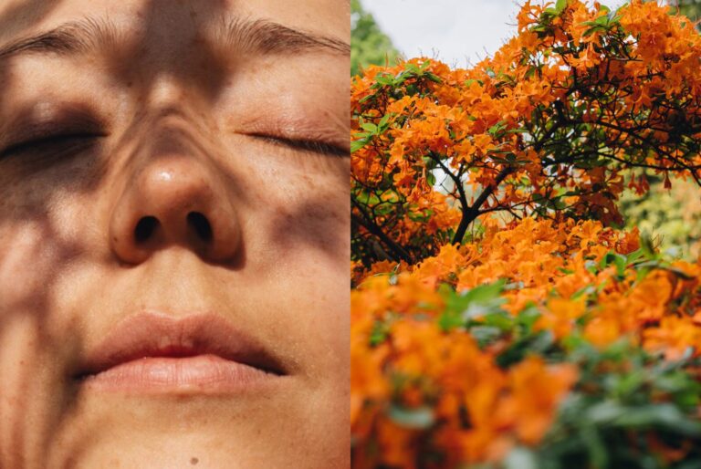 Journal autumn skincare rituals